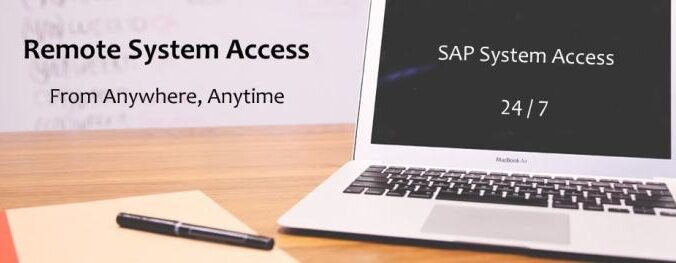 SAP access controls