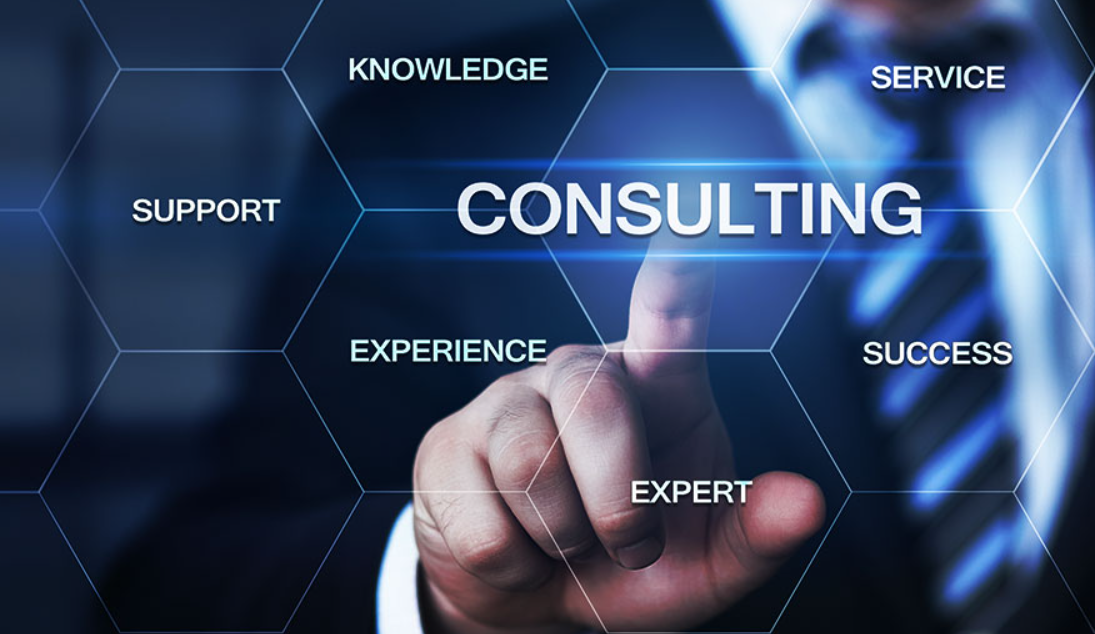 bid consultancy services